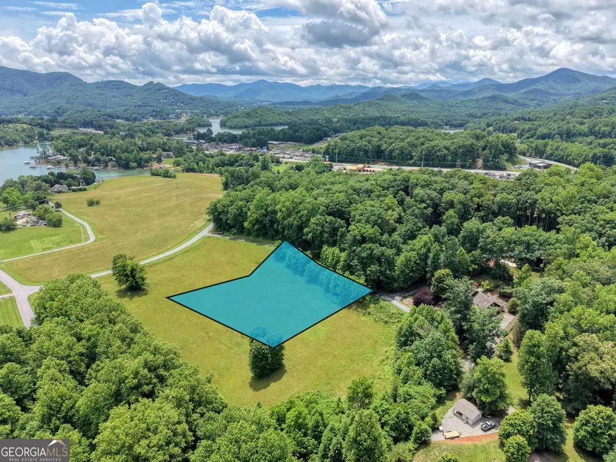 1404 Holly Point Road, Hiawassee, GA 30546 - #1