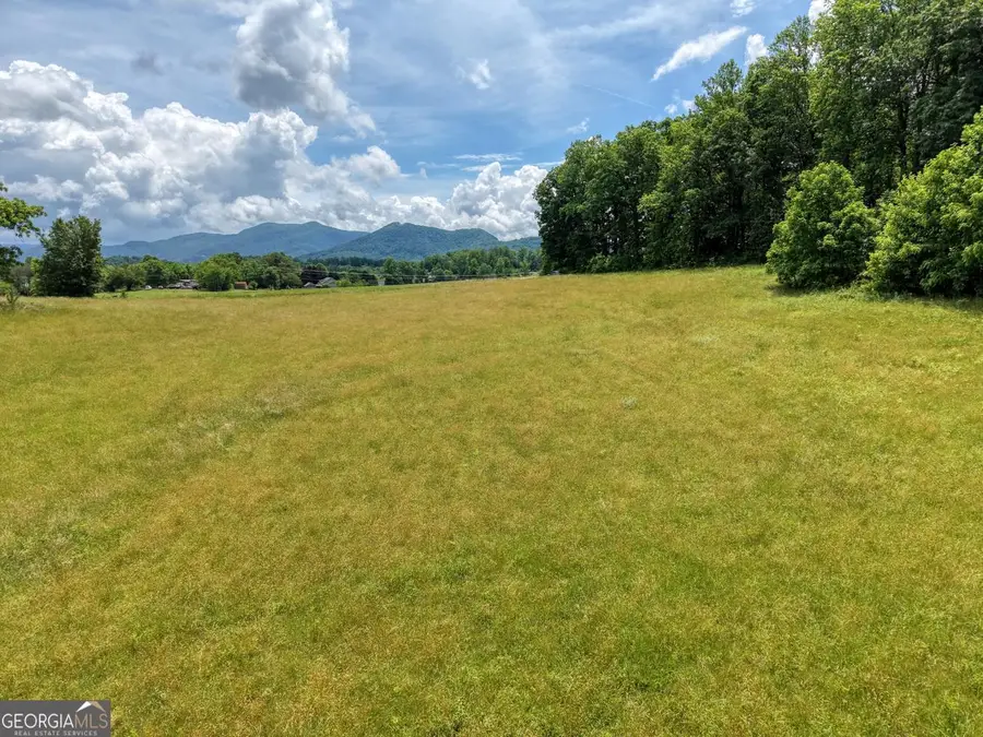 1404 Holly Point Road, Hiawassee, GA 30546 - #2