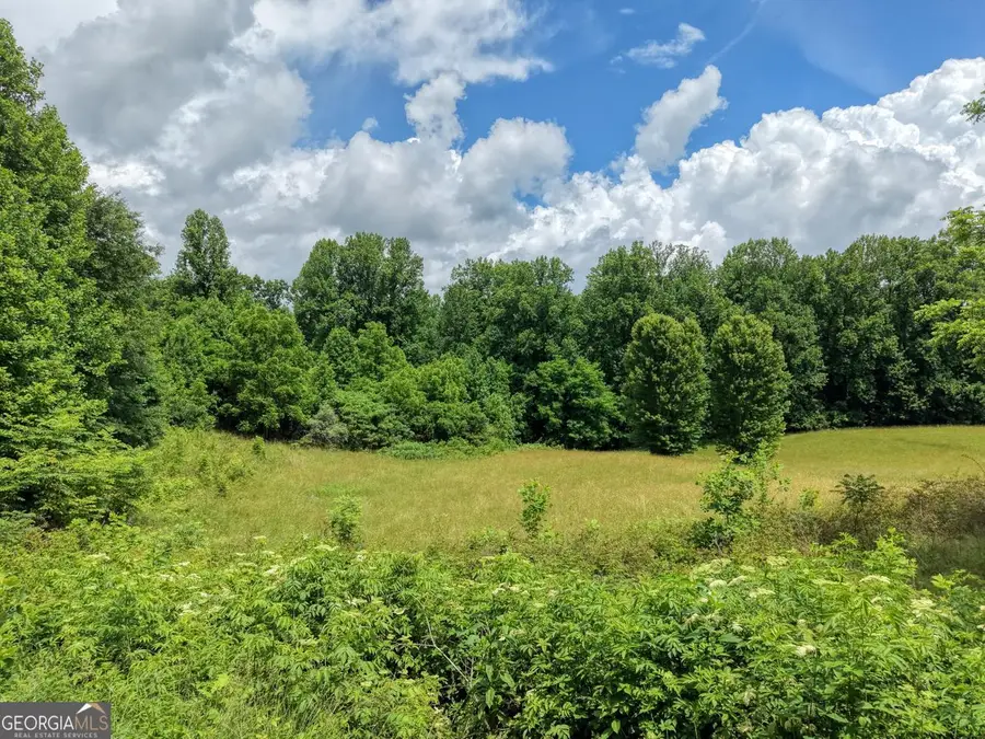 1404 Holly Point Road, Hiawassee, GA 30546 - #3