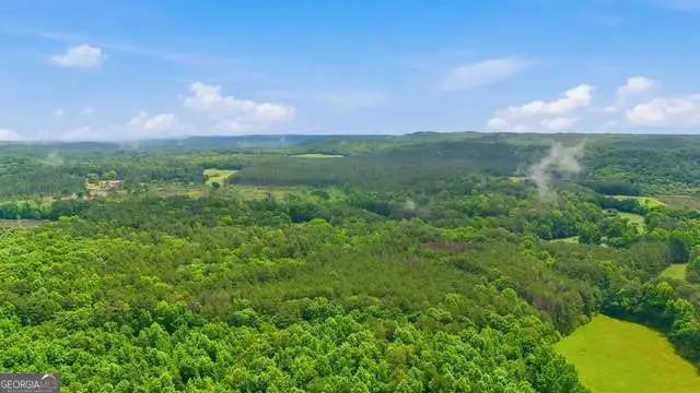 0 Lee Road, Cedartown, GA 30125 - #2