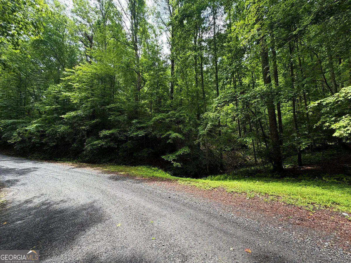 LT 144 Alcan Way, Ellijay, GA 30540 - #1