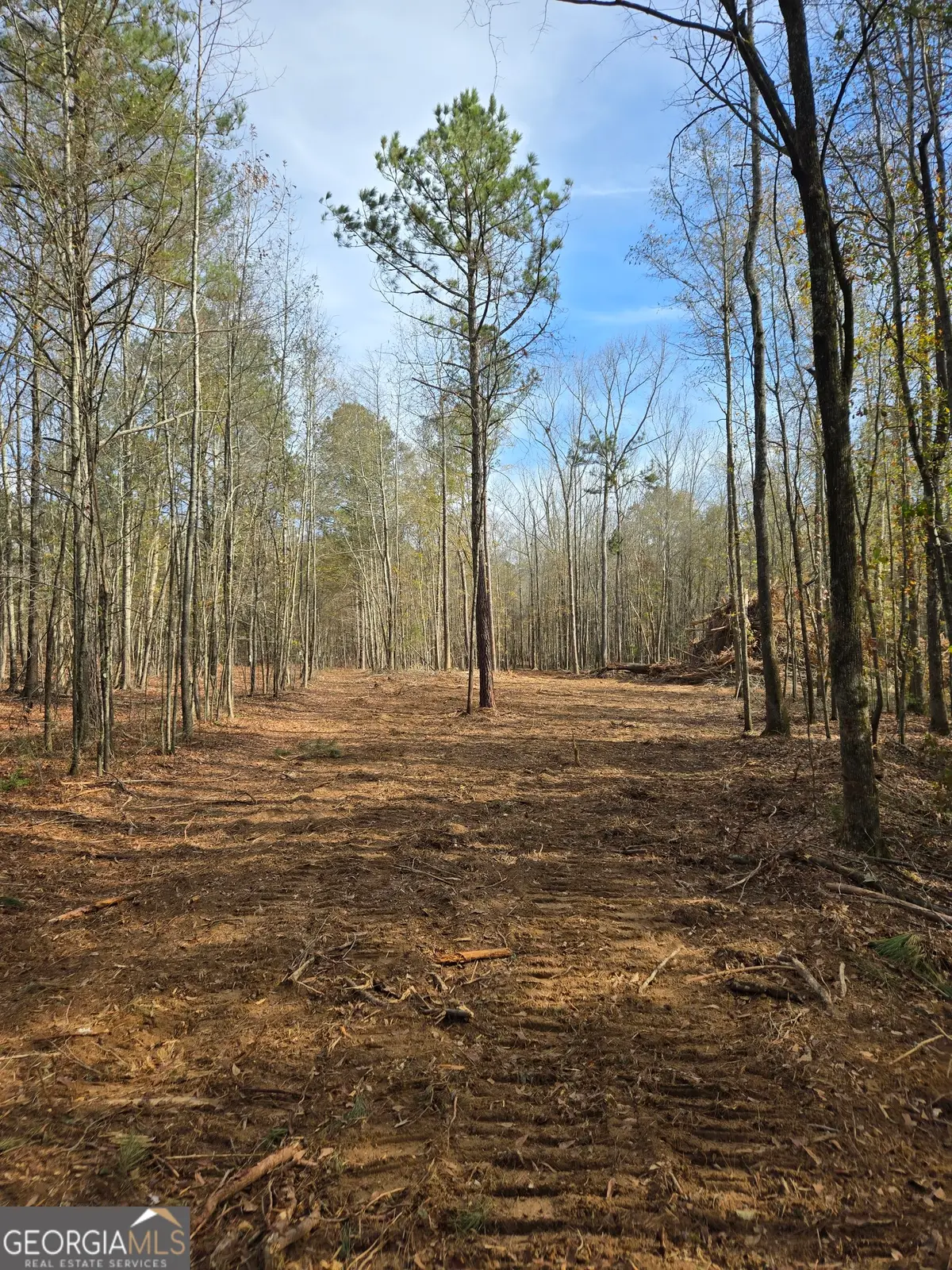 00 YATESVILLE R Yatesville Road, Barnesville, GA 30204 - #1