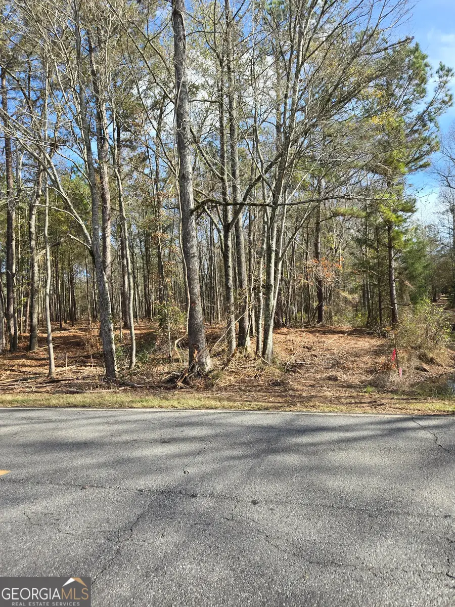 00 YATESVILLE R Yatesville Road, Barnesville, GA 30204 - #2