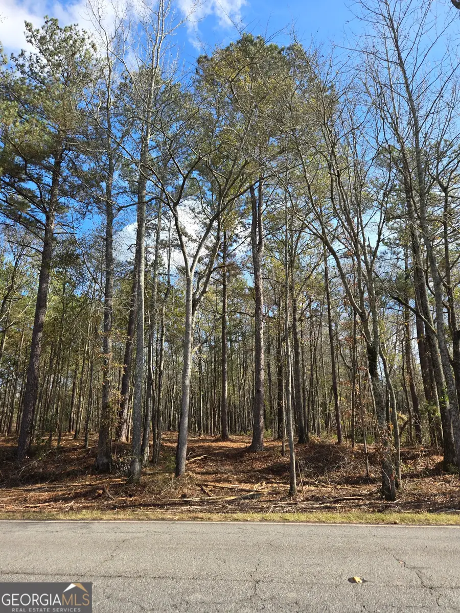 00 YATESVILLE R Yatesville Road, Barnesville, GA 30204 - #3