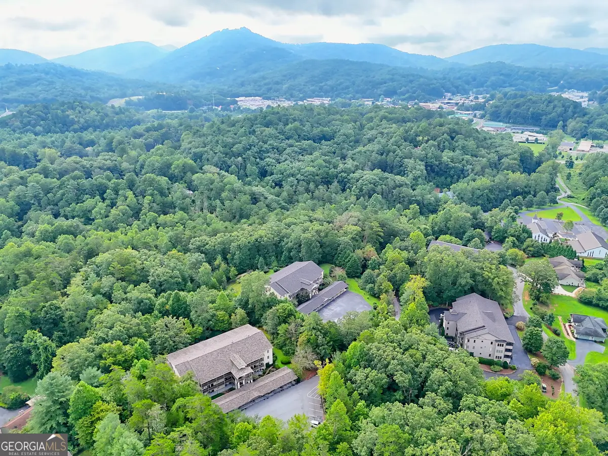 300 Ginger Creek Lane #203, Clayton, GA 30525 - #1