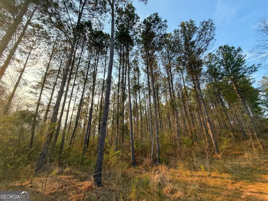 105 +/- Acres On Mccosh Mill Rd., Lagrange, GA 30240 - #3
