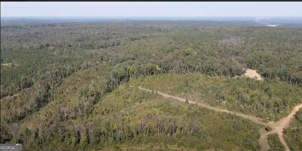 072 017 Hwy 112 Se, Toomsboro, GA 31090