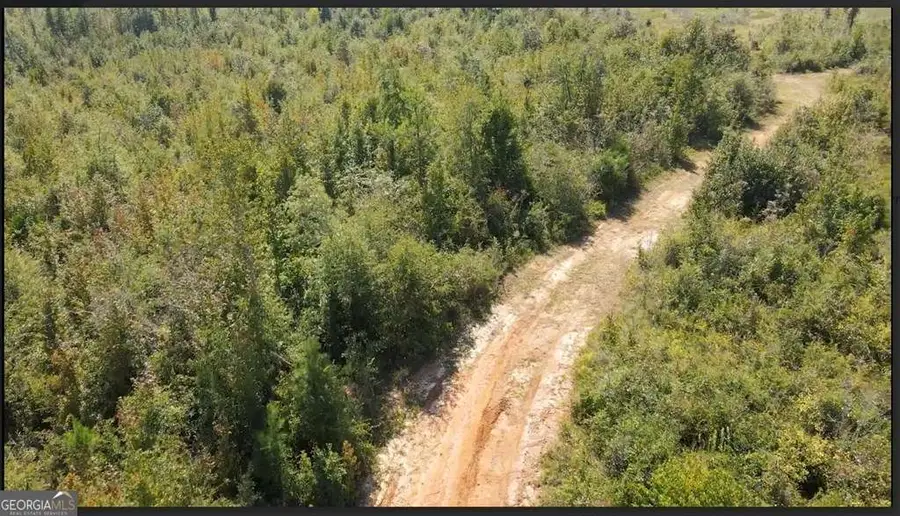 072 017 Hwy 112 Se, Toomsboro, GA 31090 - #3