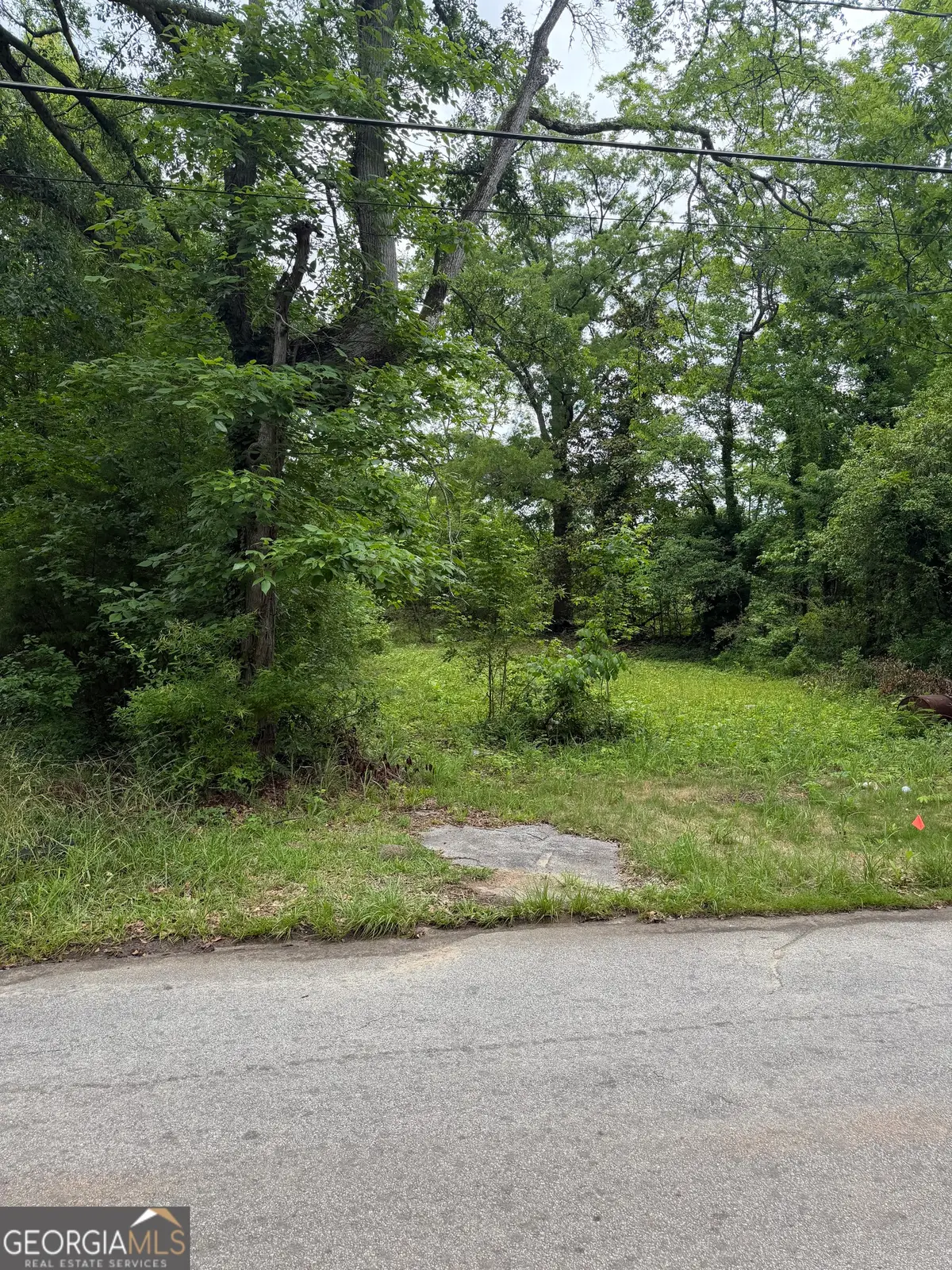 731 Turner Street, Griffin, GA 30223 - #1
