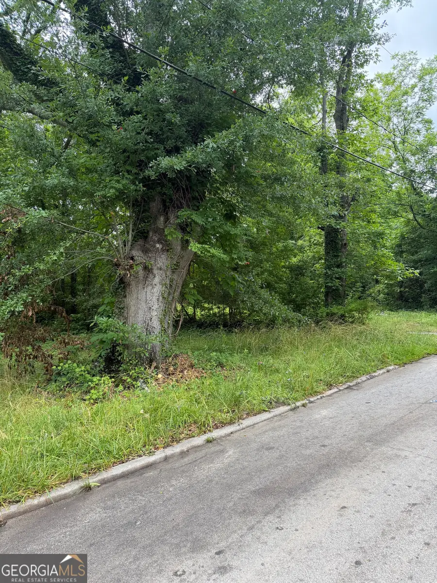 731 Turner Street, Griffin, GA 30223 - #2