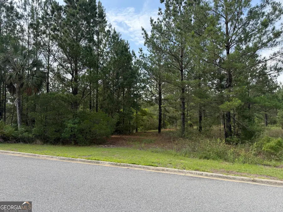 1.12 Big Horse Drive, Waynesville, GA 31566 - #2