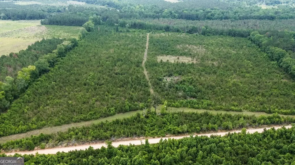 0 Adams Hammock Road, Lyons, GA 30436 - #1