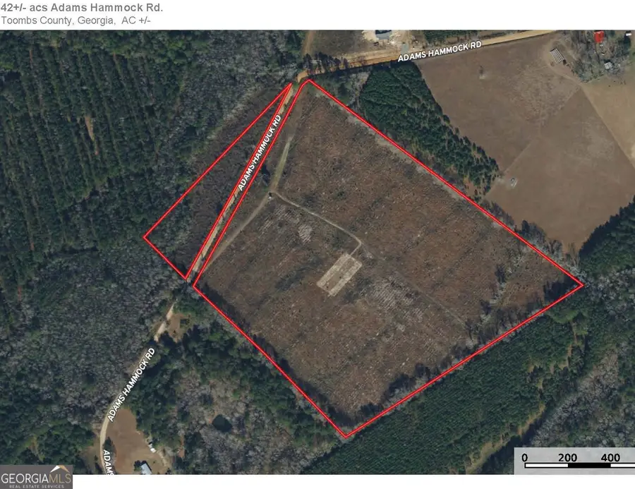 0 Adams Hammock Road, Lyons, GA 30436 - #3