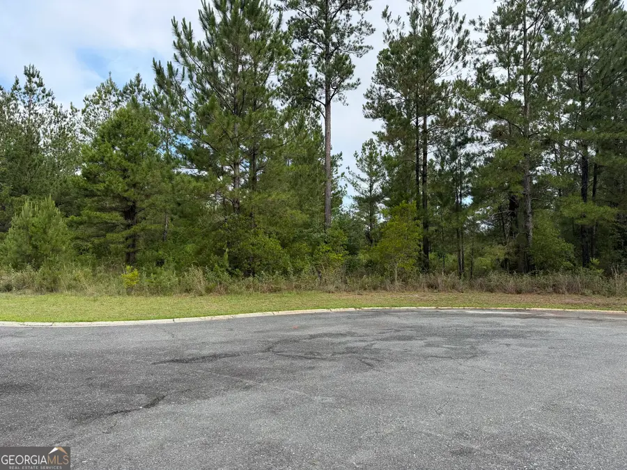 0.59 Big Horse Drive, Waynesville, GA 31566 - #3