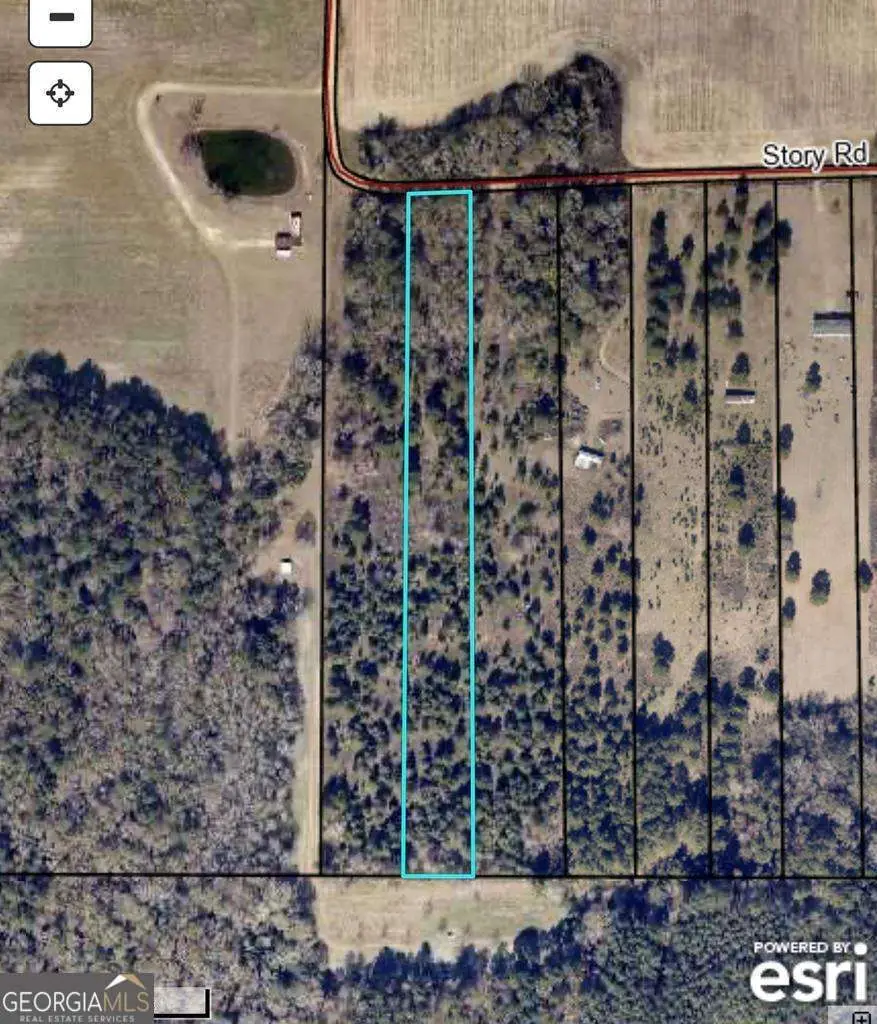 0 Story Rd Lot#2, Arabi, GA 31712 - #1