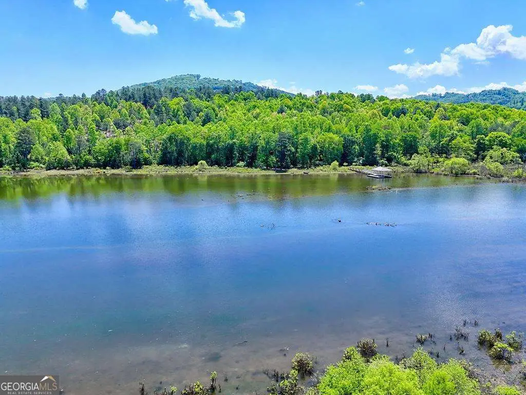 LOT 114 Sandy Lake Lane, Blairsville, GA 30512 - #1