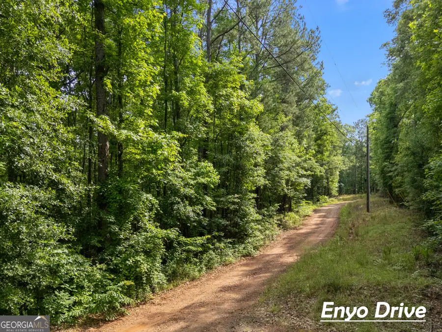 1988 N Walkers Mill Road, Griffin, GA 30223 - #3