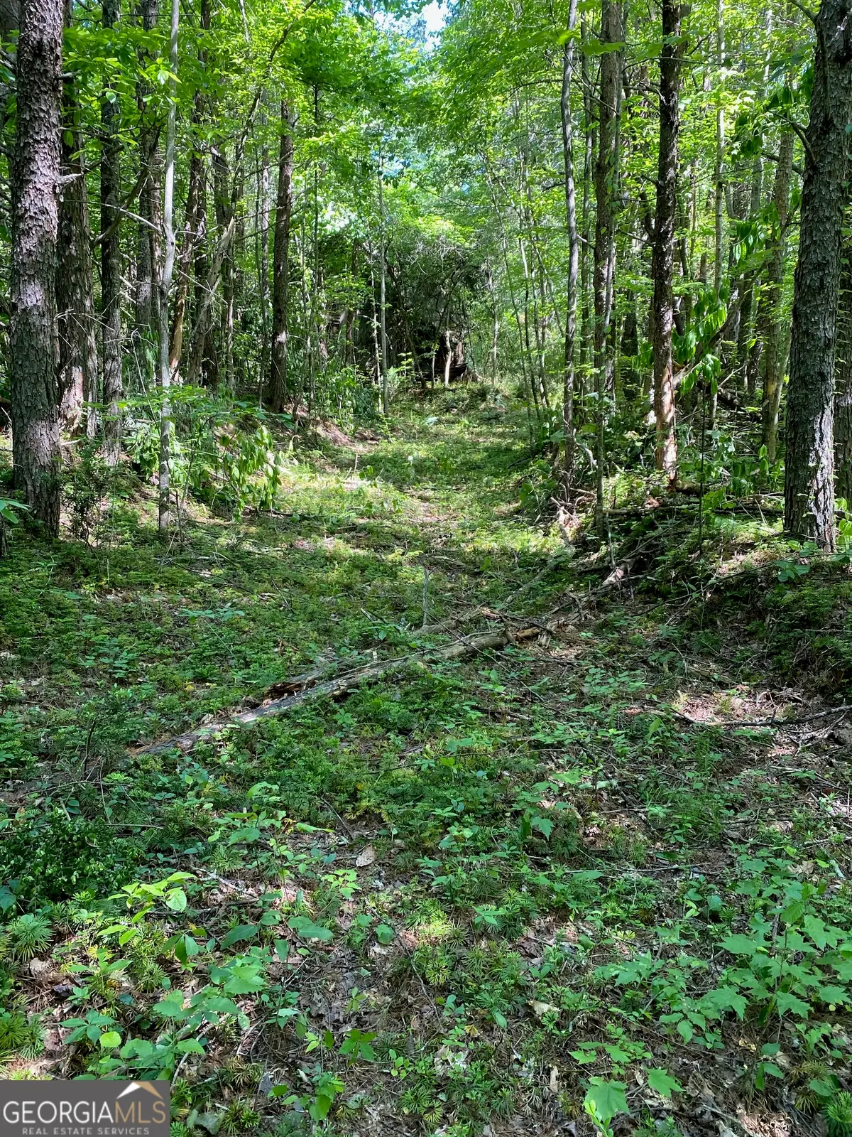 0 Hardman Road, Sautee Nacoochee, GA 30571 - #1