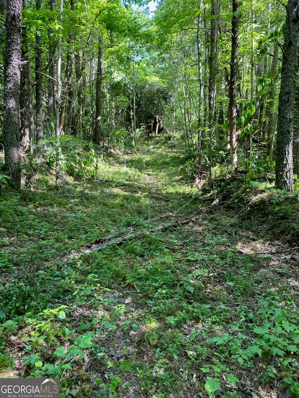 0 Hardman Road, Sautee Nacoochee, GA 30571