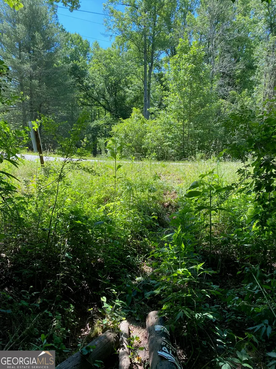0 Hardman Road, Sautee Nacoochee, GA 30571 - #3