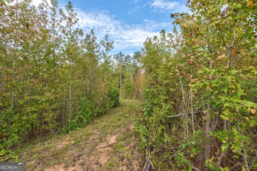 0 Old Salem Rd Tract 2, 3, 4, Watkinsville, GA 30677 - #2
