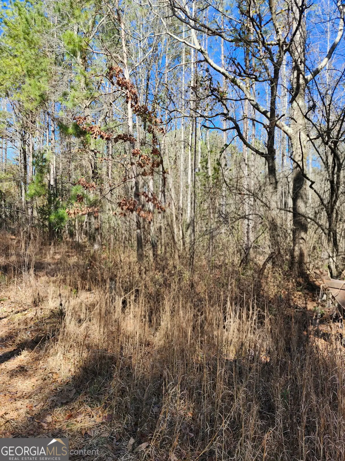 23 Tucker Circle #LOT 23, Lagrange, GA 30240 - #1
