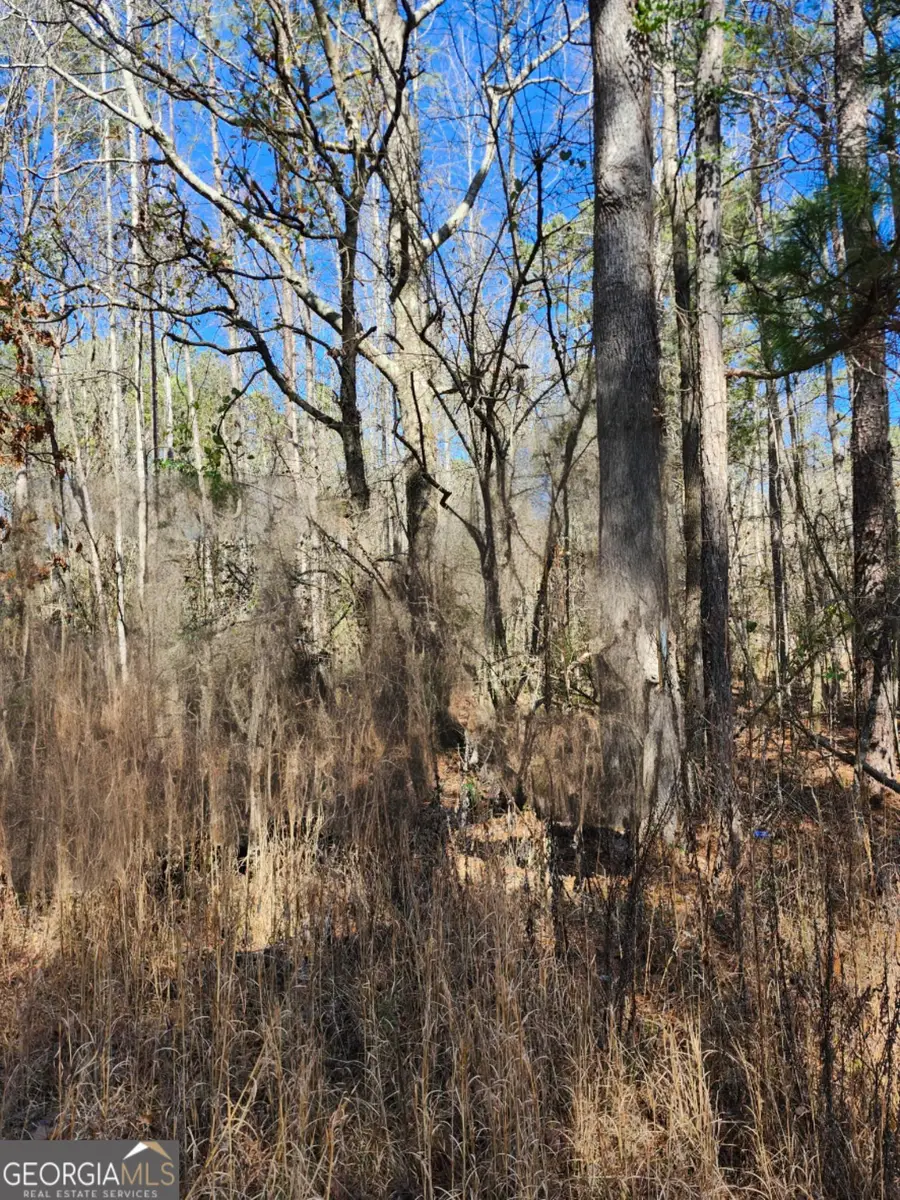 23 Tucker Circle #LOT 23, Lagrange, GA 30240 - #2