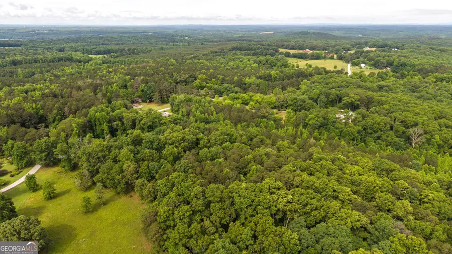 3456 Poplar Springs Road, Buchanan, GA 30113 - #3
