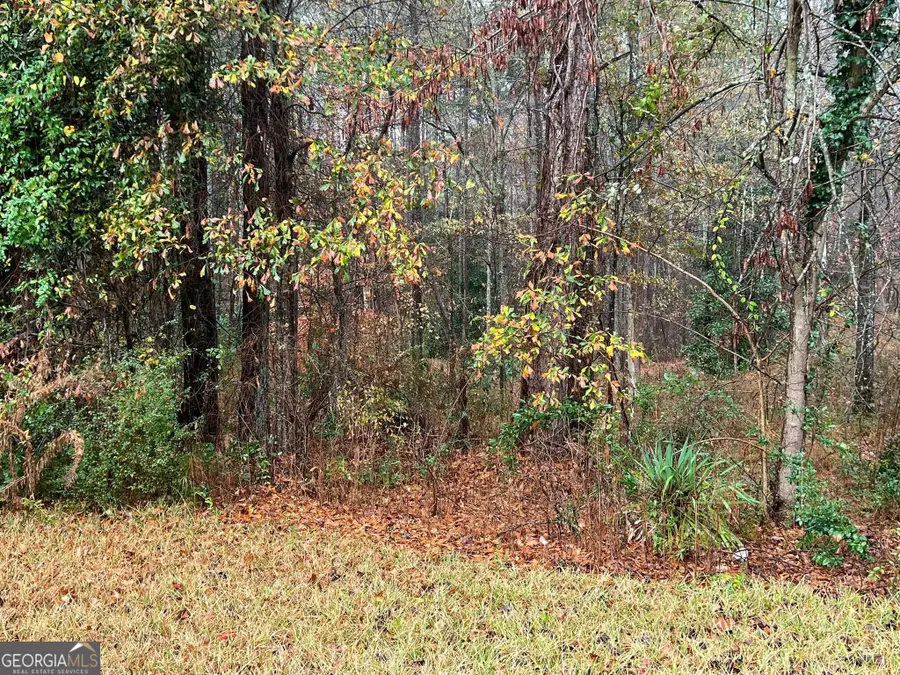 0 Cherokee Dr., Tallapoosa, GA 37076 - #2