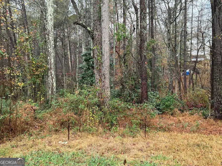 0 Cherokee Dr., Tallapoosa, GA 37076 - #3