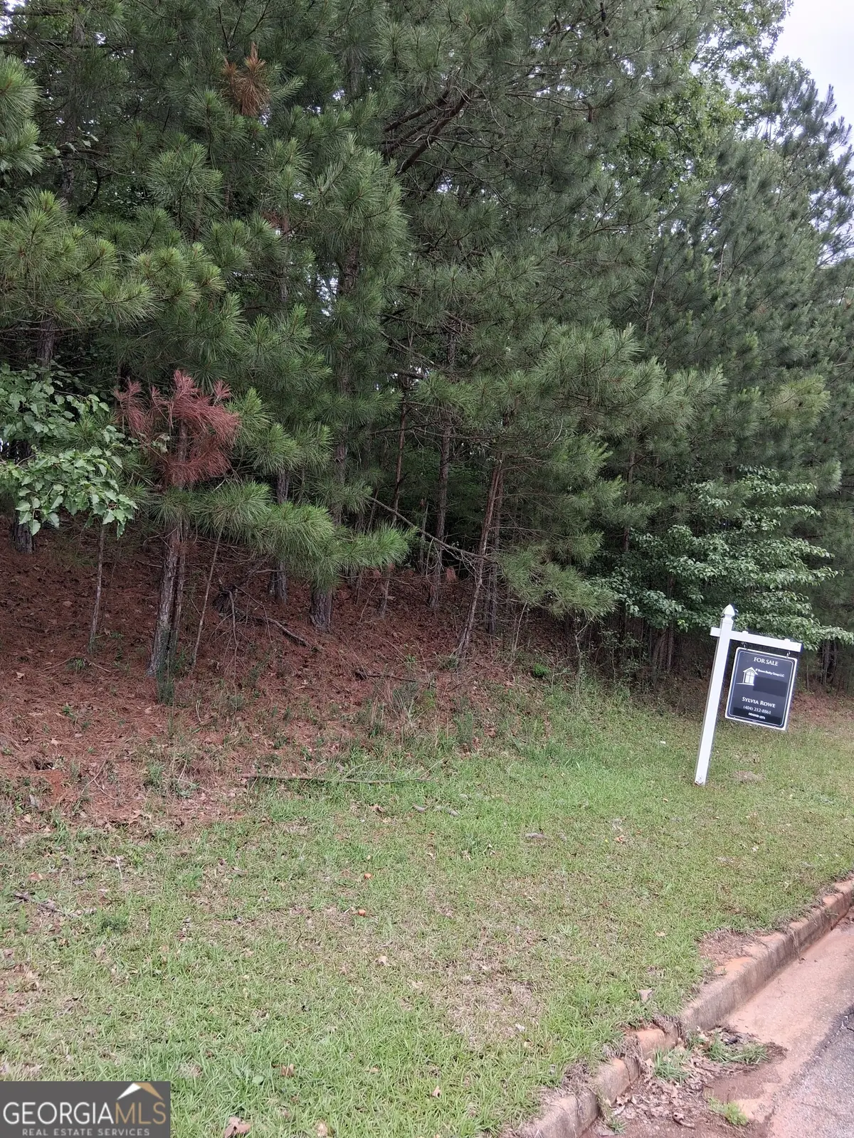0 Bellevue Southwest Drive, Conyers, GA 30094 - #1