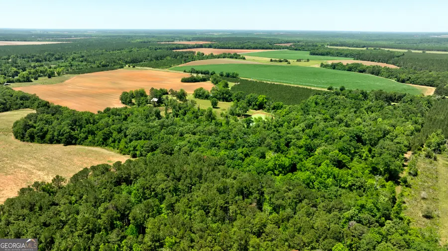 246 Melton Mill Road, Dawson, GA 39842 - #3