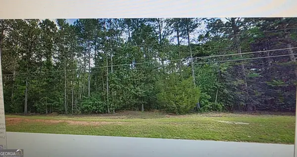 4171 Henry Road Sw, Snellville, GA 30039