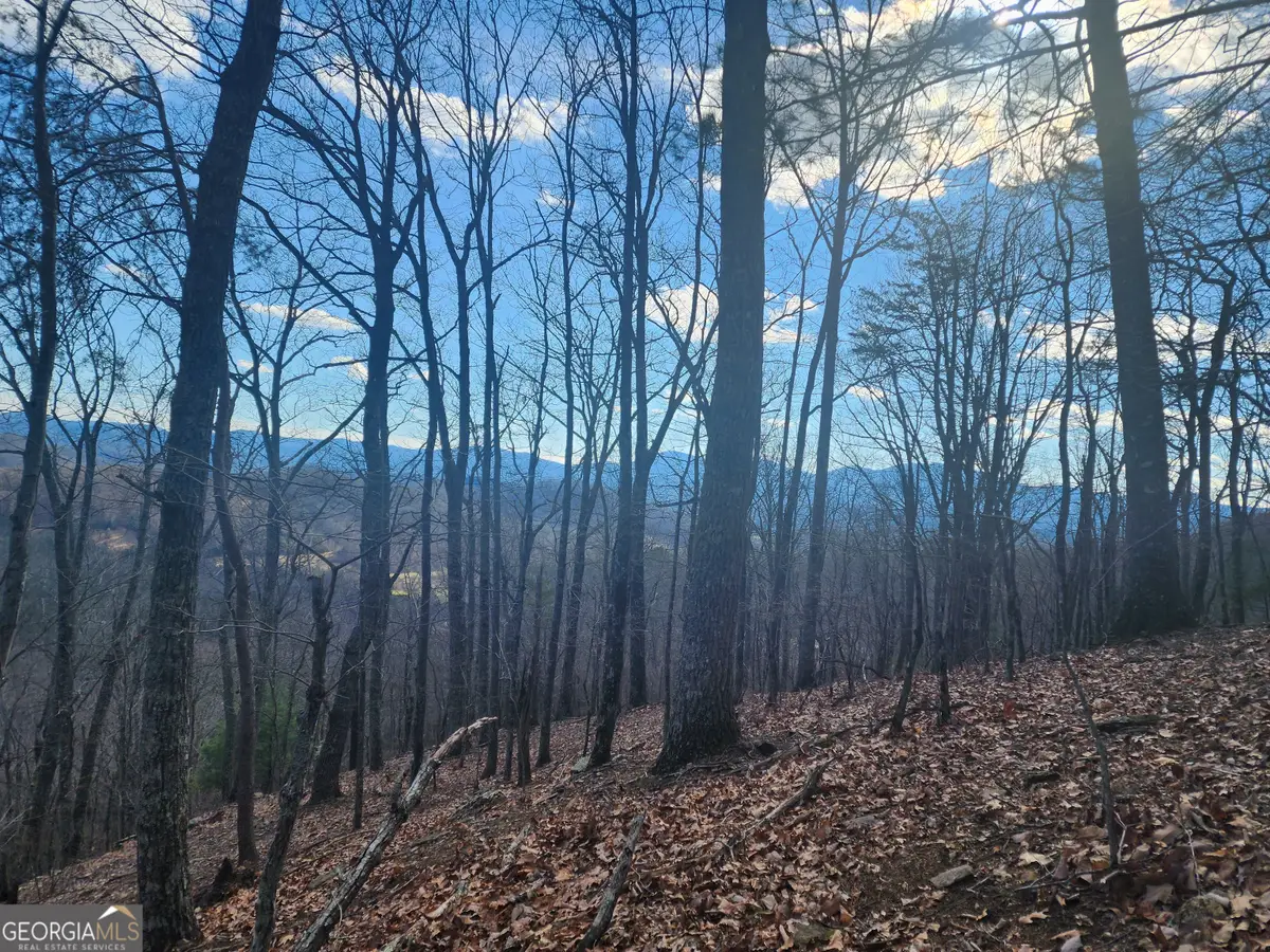 0 Trackrock Gap Road, Blairsville, GA 30514 - #1