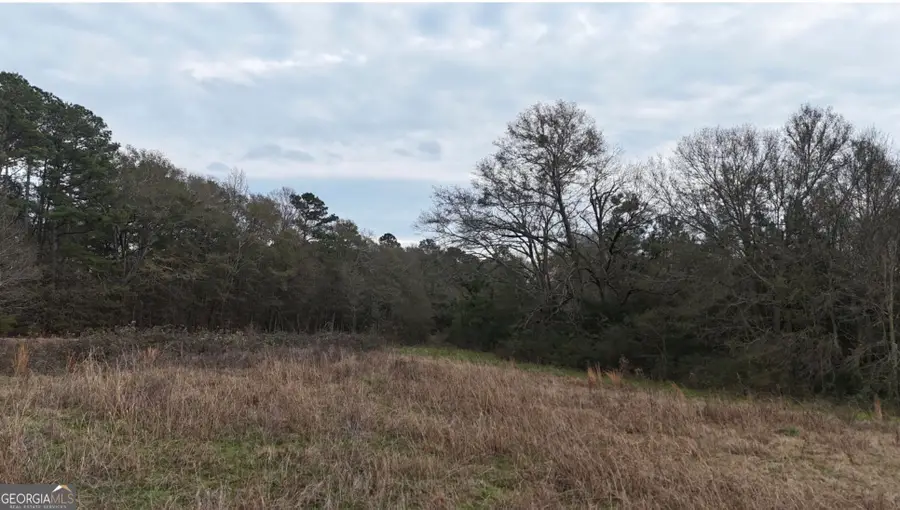 01A Bowman Highway, Dewy Rose, GA 30634 - #3