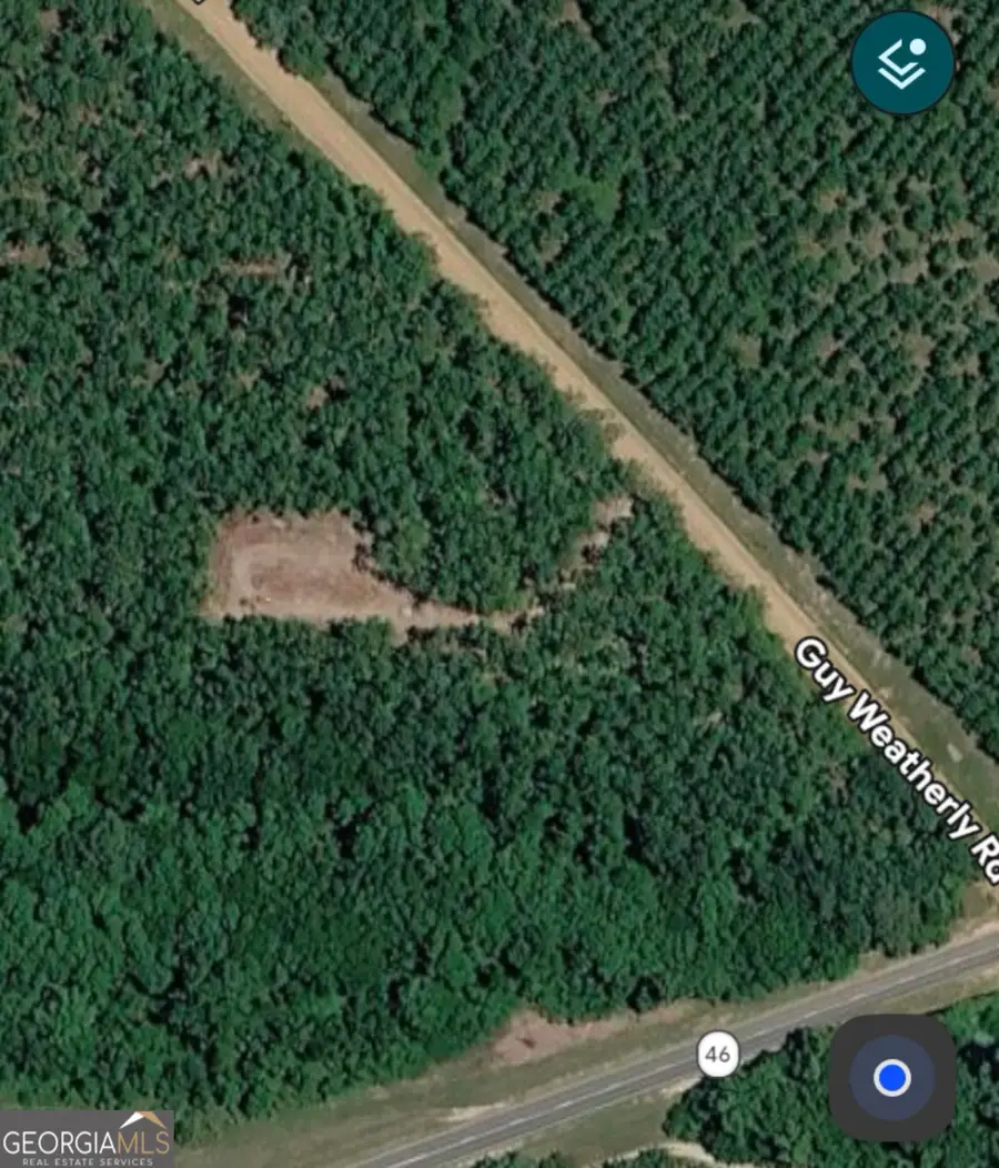 0 Highway 46, Cadwell, GA 31009 - #3