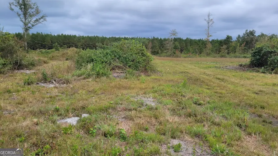 88 Rogers Break Road, Jesup, GA 31546 - #2