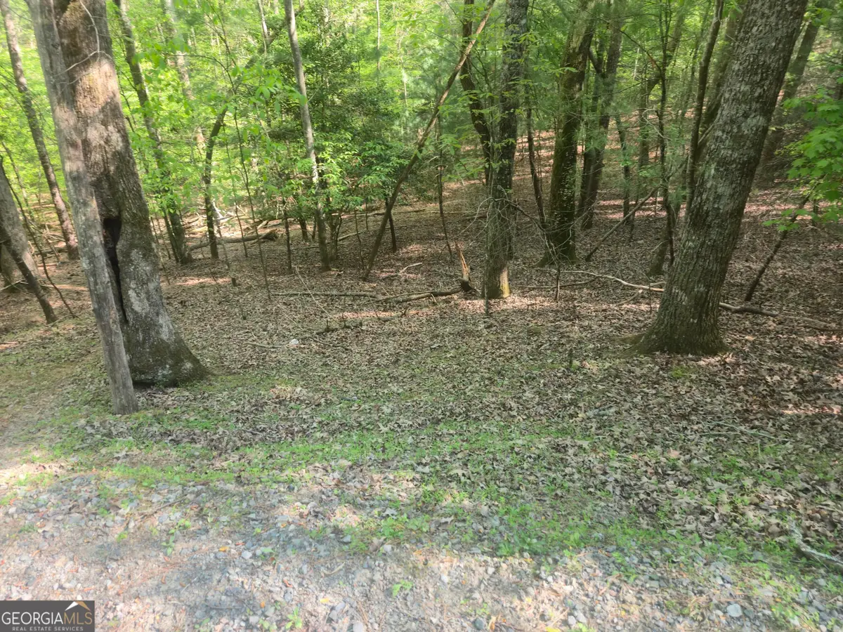 0 Hart Court, Ellijay, GA 30540 - #1