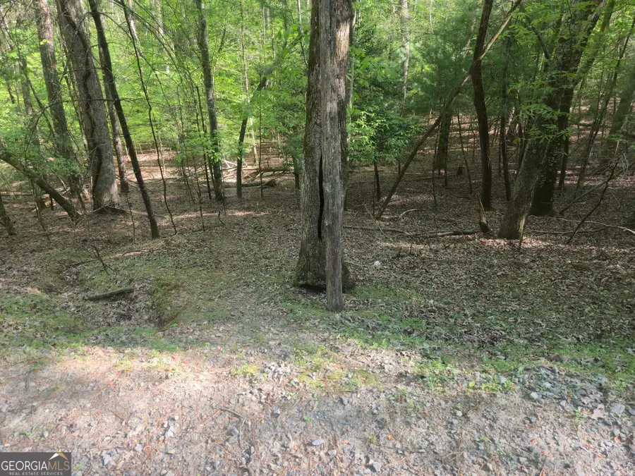 0 Hart Court, Ellijay, GA 30540 - #2