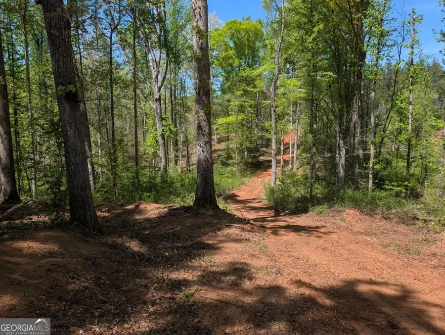 0 Mangum Lane, Pendergrass, GA 30567 - #3