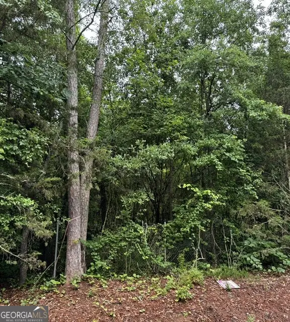 0 Lewis Lot 17 Drive, Lavonia, GA 30553