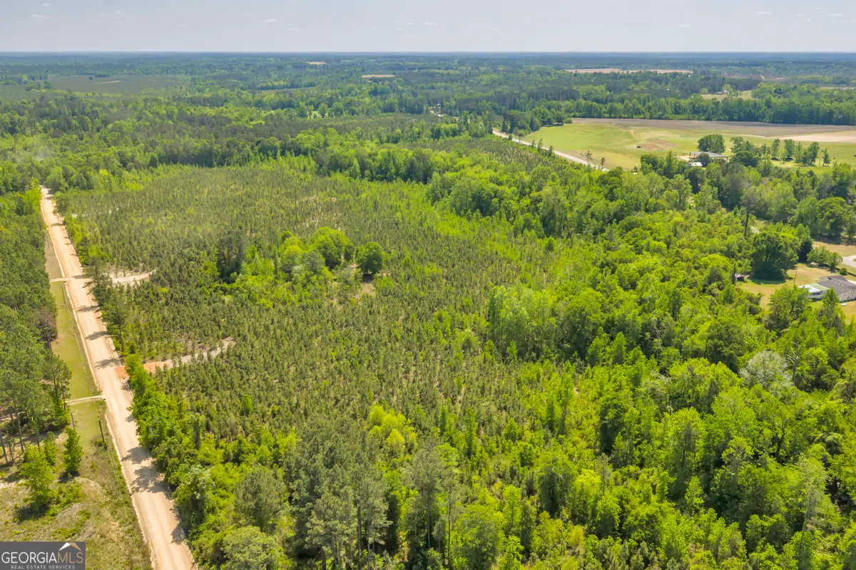 14 Graham Lane, Cadwell, GA 31009 - #1
