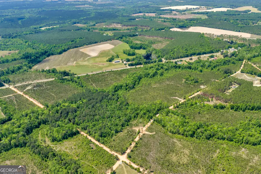 14 Graham Lane, Cadwell, GA 31009 - #2