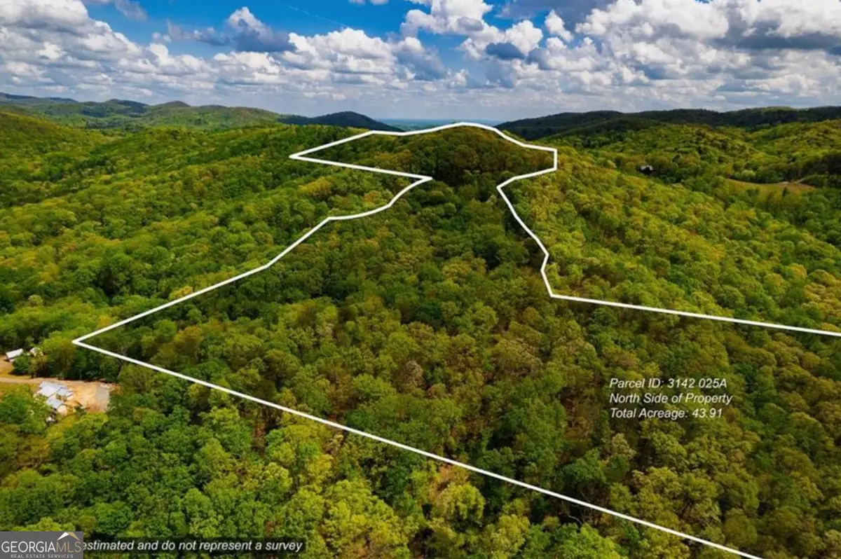 43.91 Old Burnt Mountain Road #PART OF C, Ellijay, GA 30540 - #1