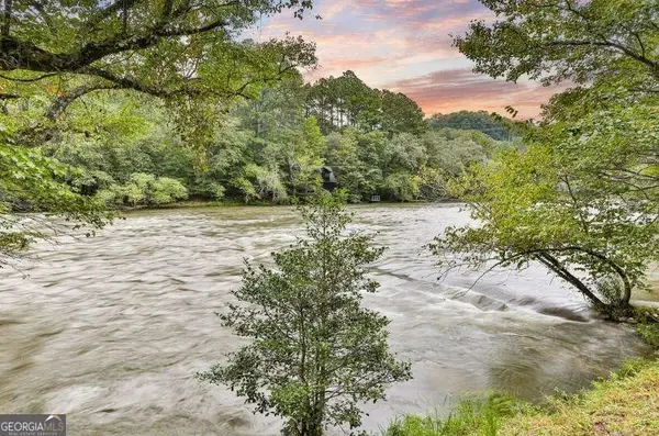92 Fish Trap Road #10, Mineral Bluff, GA 30559