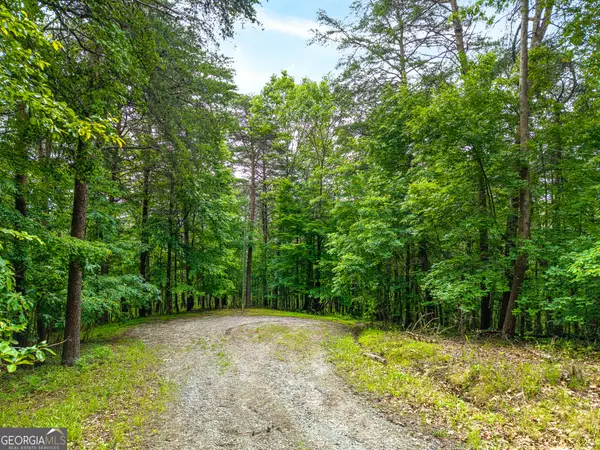 1332 Birch Lane Ne, Ranger, GA 30734