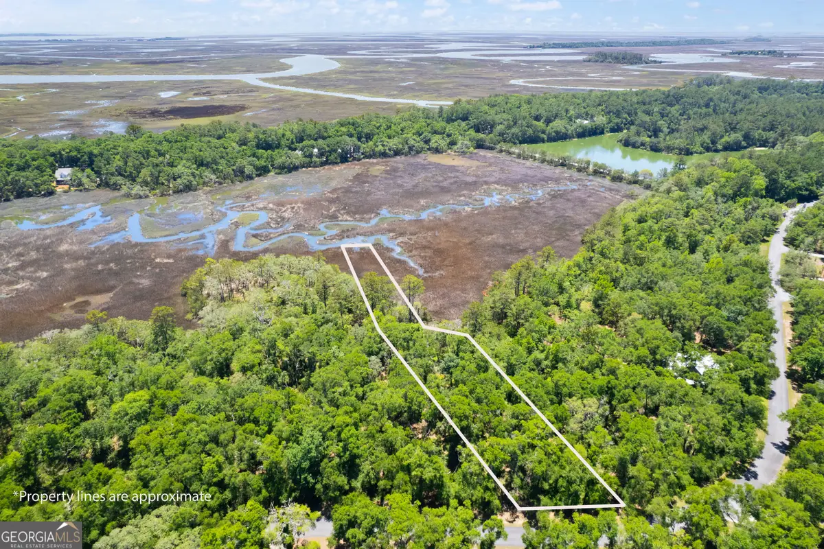 LOT 54 St. Joseph's Point, Darien, GA 31305 - #1