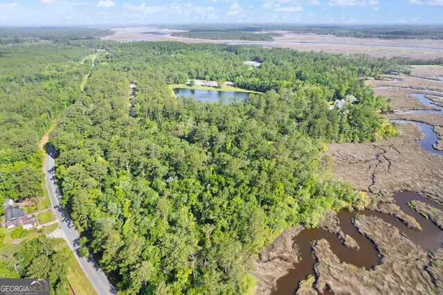LOT 55 Bluffs Landing, Waverly, GA 31565 - #3