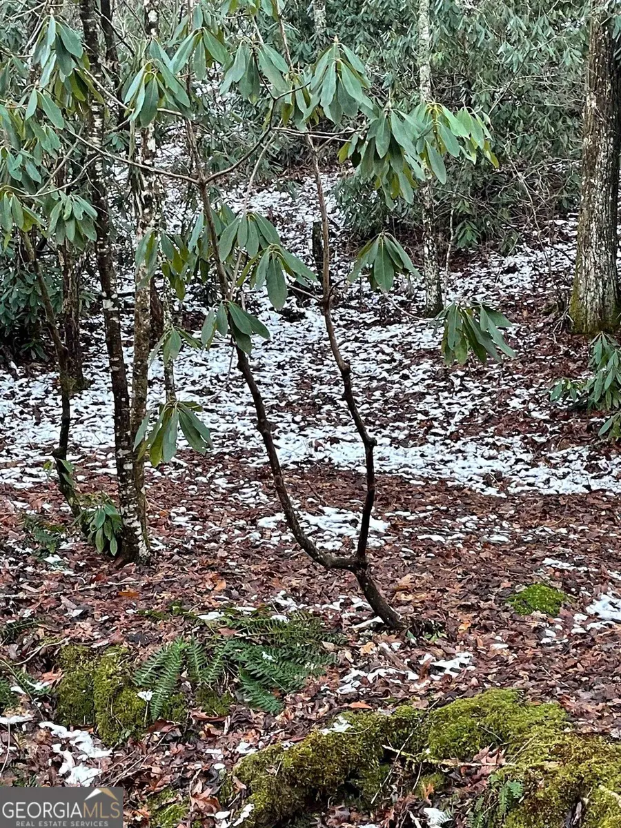 0 LOT 8 Bald Mountain Road #LOT 8, Sky Valley, GA 30537 - #2