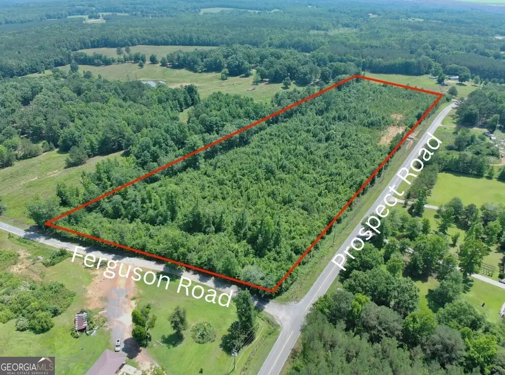 0 Prospect Road, Nauvoo, AL 35578 - #1